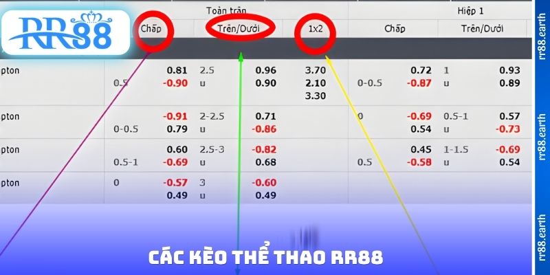 Các kèo thể thao RR88