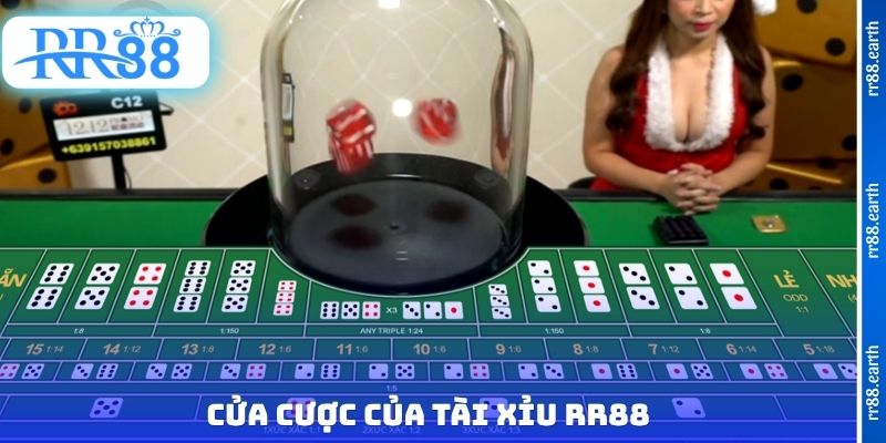 Cửa cược của tài xỉu RR88