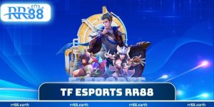 TF Esports RR88